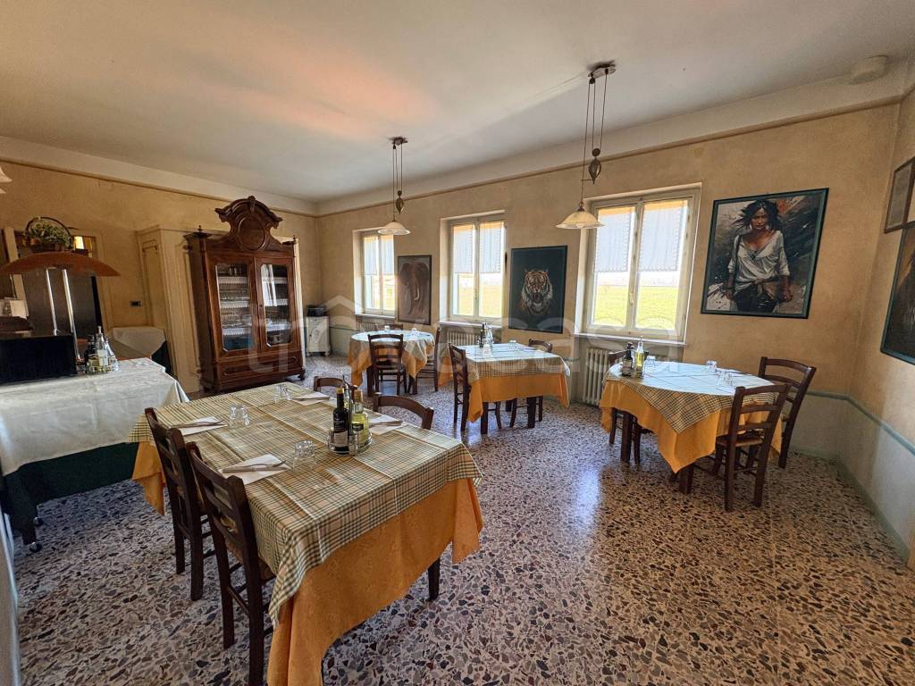 immagine annuncio 5 di 13