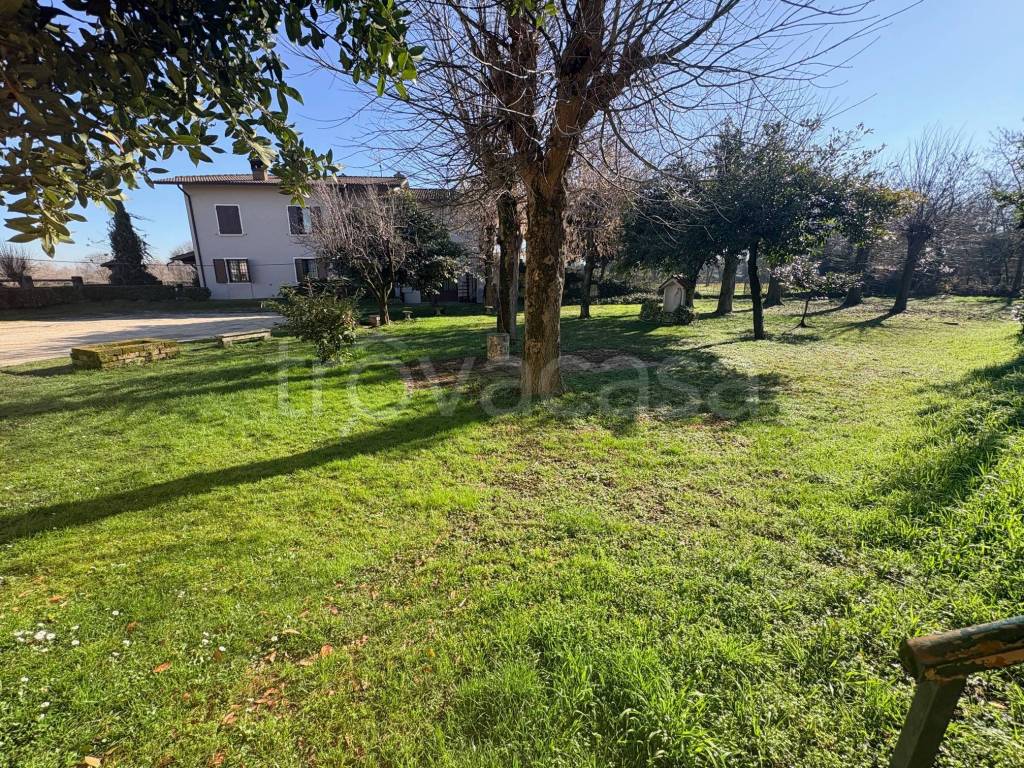 immagine annuncio 12 di 13