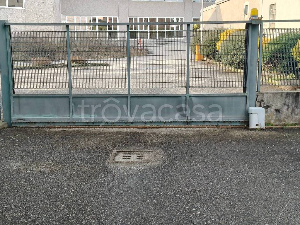 immagine annuncio 3 di 11