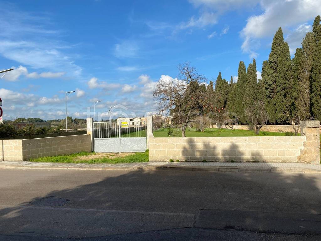 immagine annuncio 2 di 10