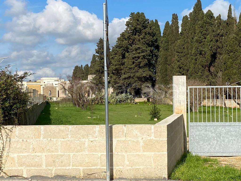 immagine annuncio 3 di 10