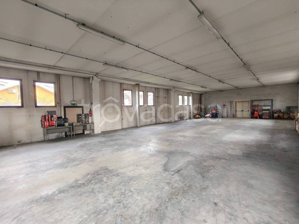 immagine annuncio 5 di 11