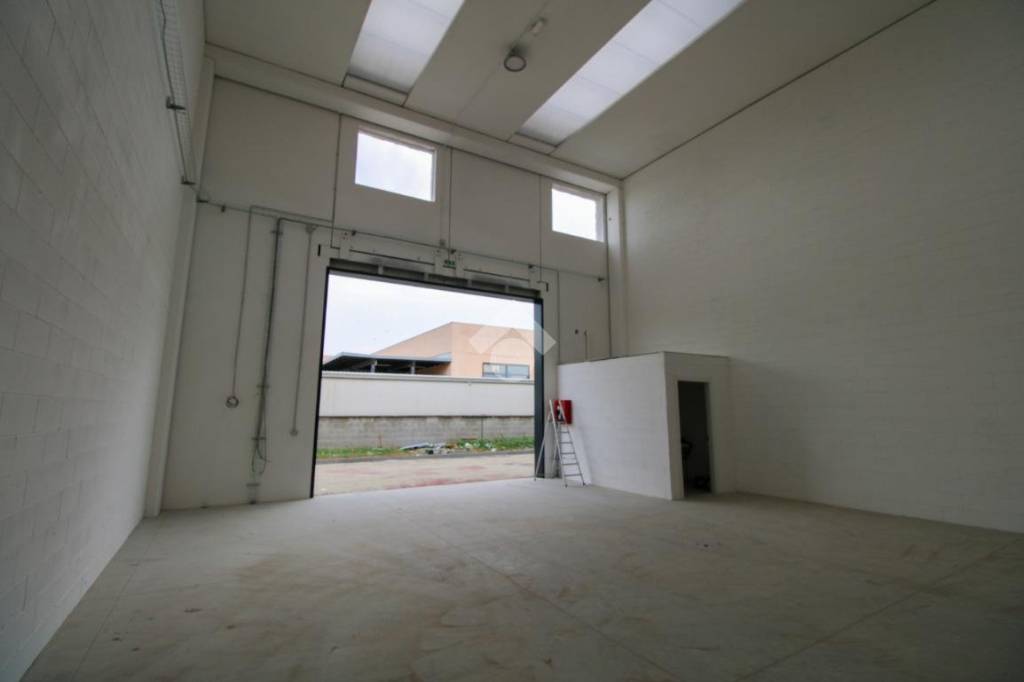 immagine annuncio 7 di 10