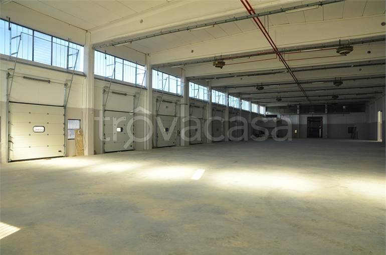 immagine annuncio 9 di 11