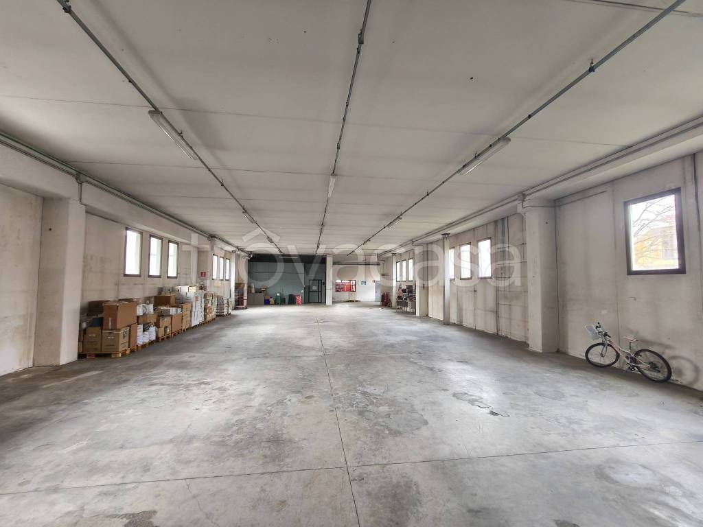 immagine annuncio 9 di 11