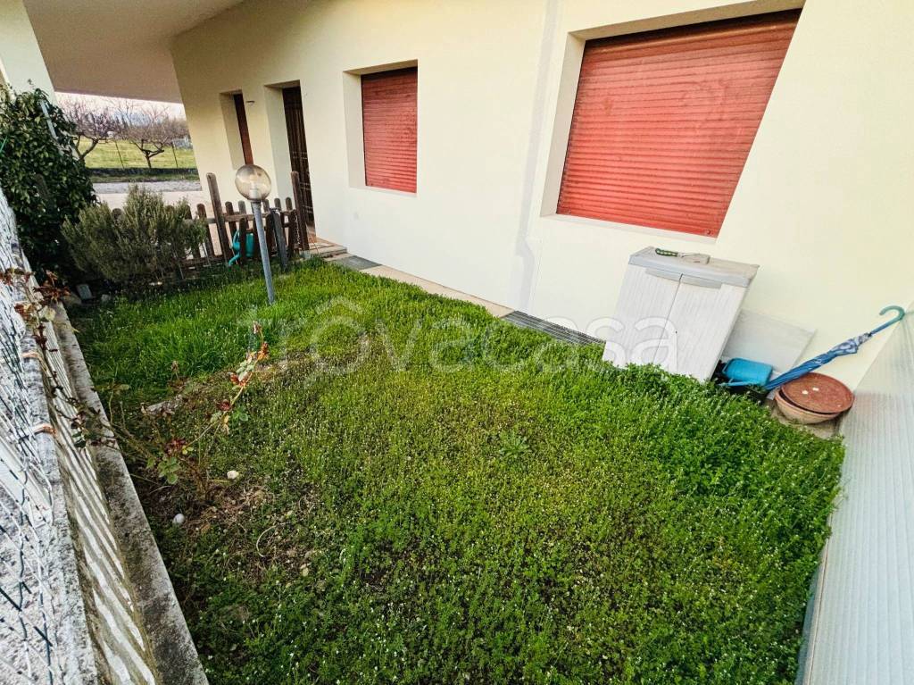 immagine annuncio 3 di 14