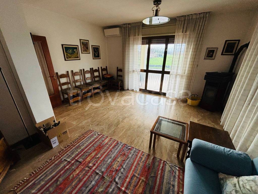 immagine annuncio 5 di 14