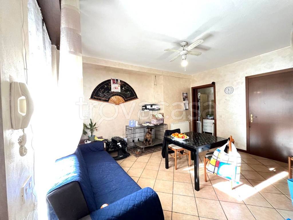 immagine annuncio 2 di 12