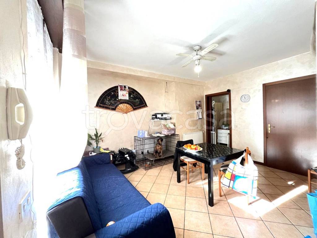 immagine annuncio 6 di 12