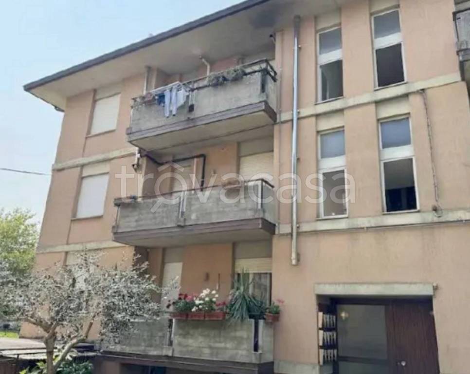 immagine annuncio 3 di 12