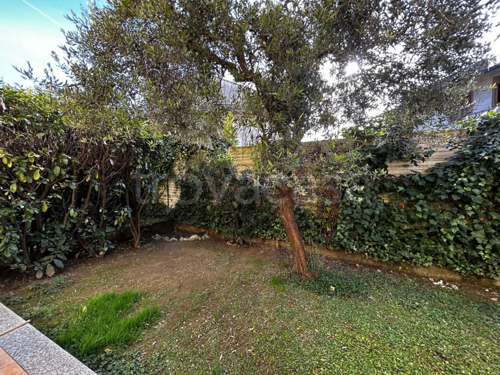 immagine annuncio 6 di 14