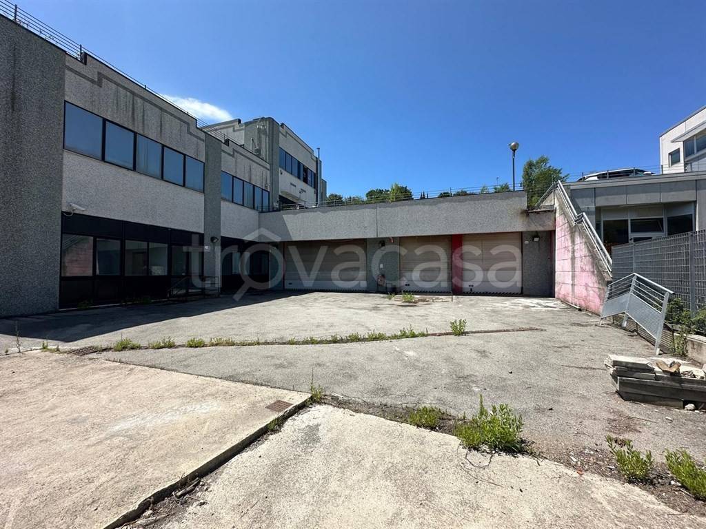 immagine annuncio 1 di 11