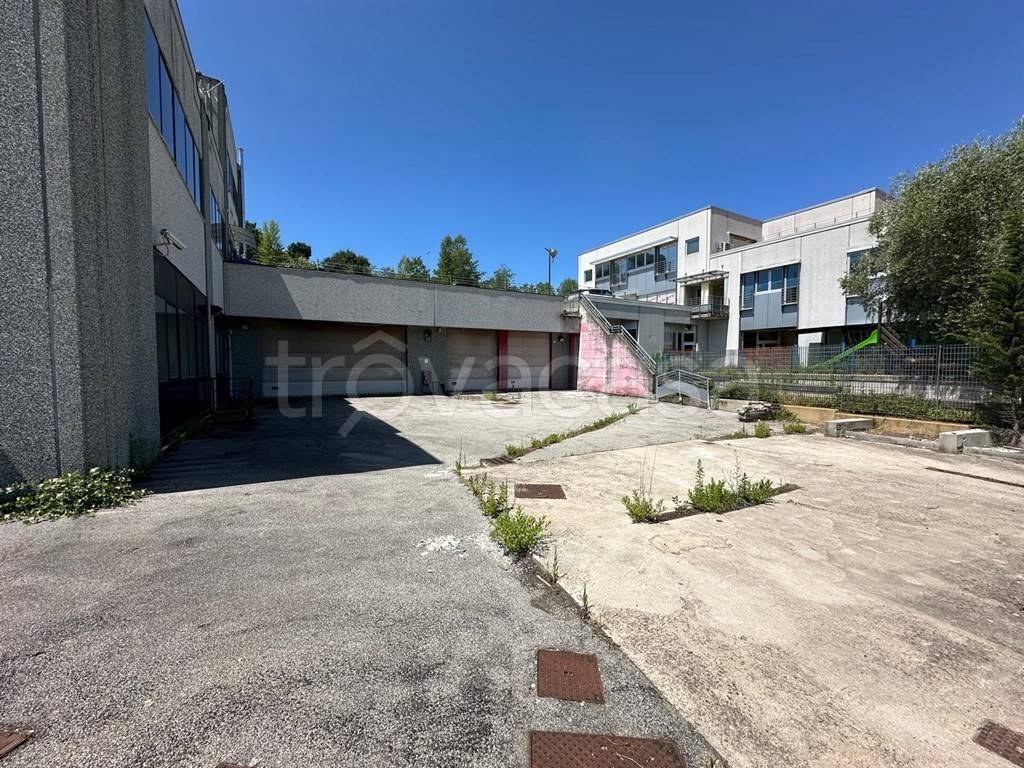 immagine annuncio 2 di 11