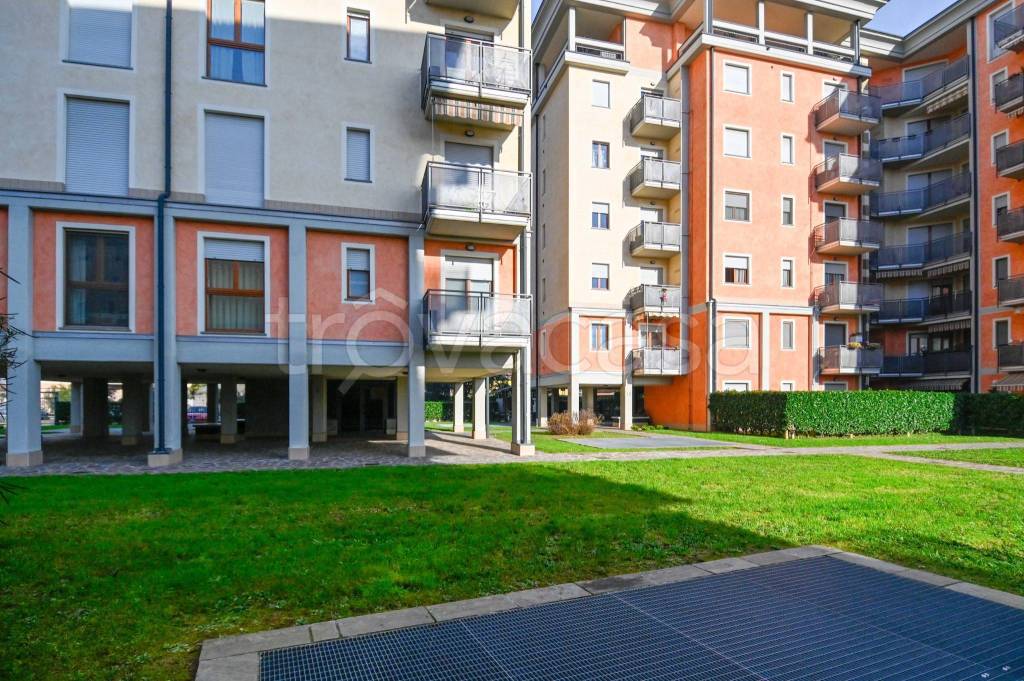 immagine annuncio 5 di 15