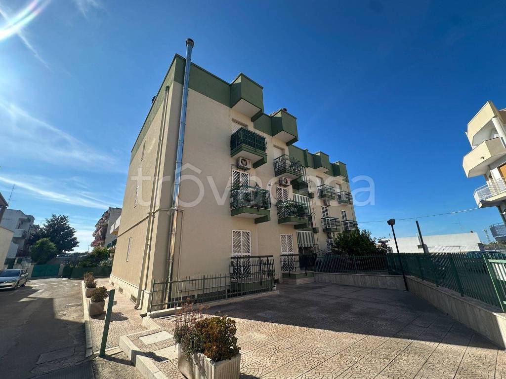 immagine annuncio 1 di 11