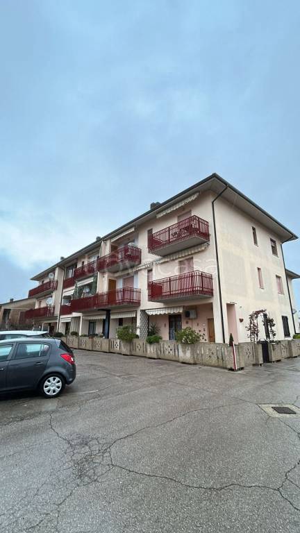 immagine annuncio 9 di 12