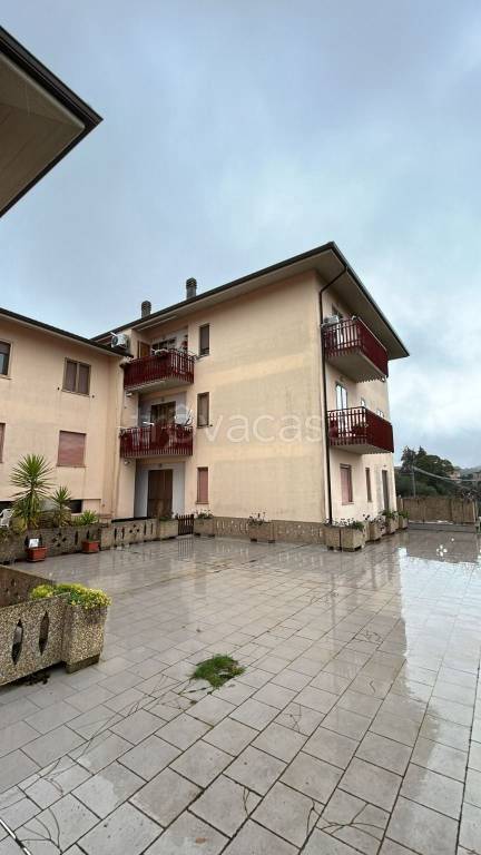 immagine annuncio 10 di 12