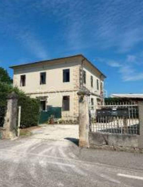 immagine annuncio 1 di 14