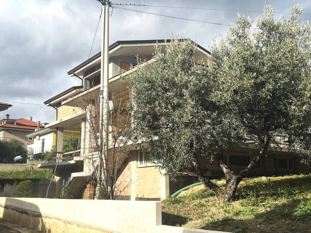 immagine annuncio 3 di 8