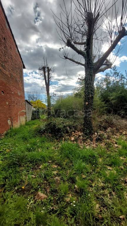 immagine annuncio 5 di 6