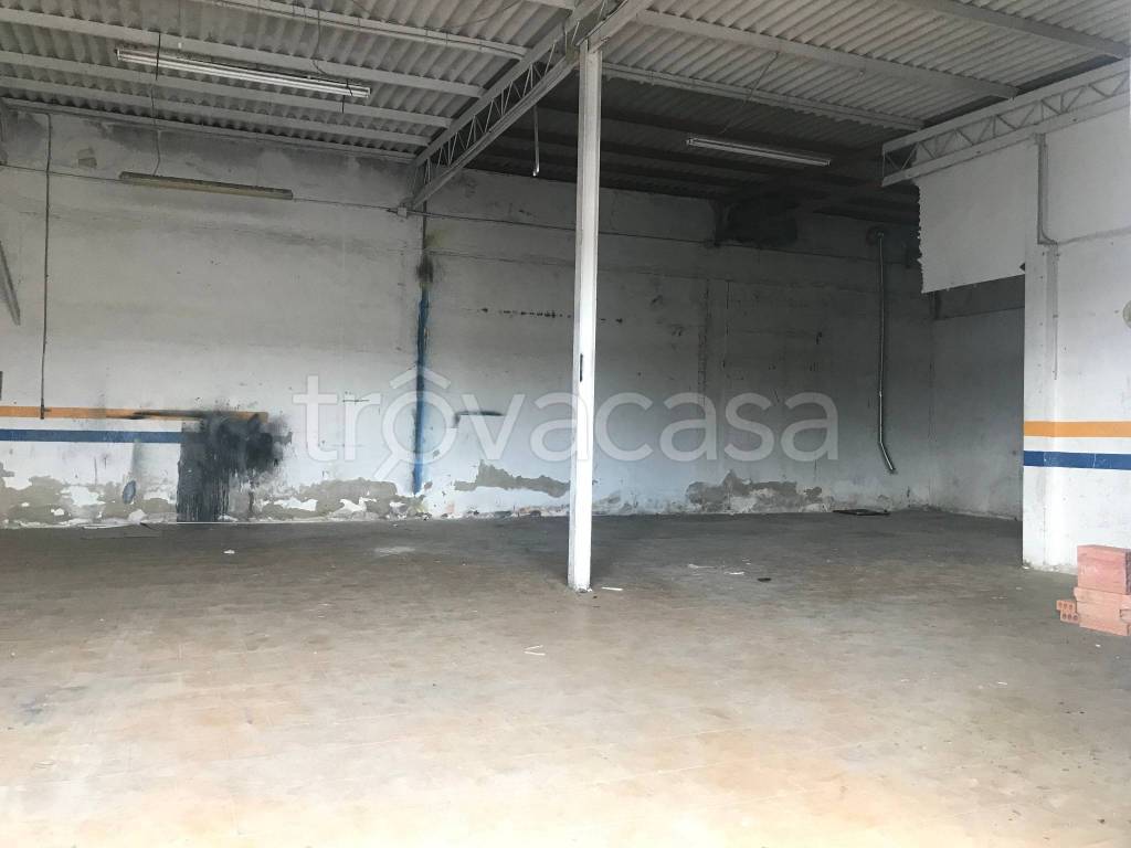 immagine annuncio 4 di 12