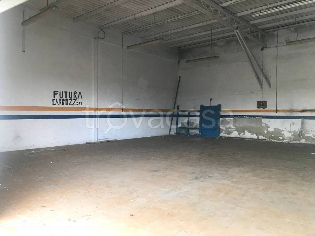 immagine annuncio 5 di 12