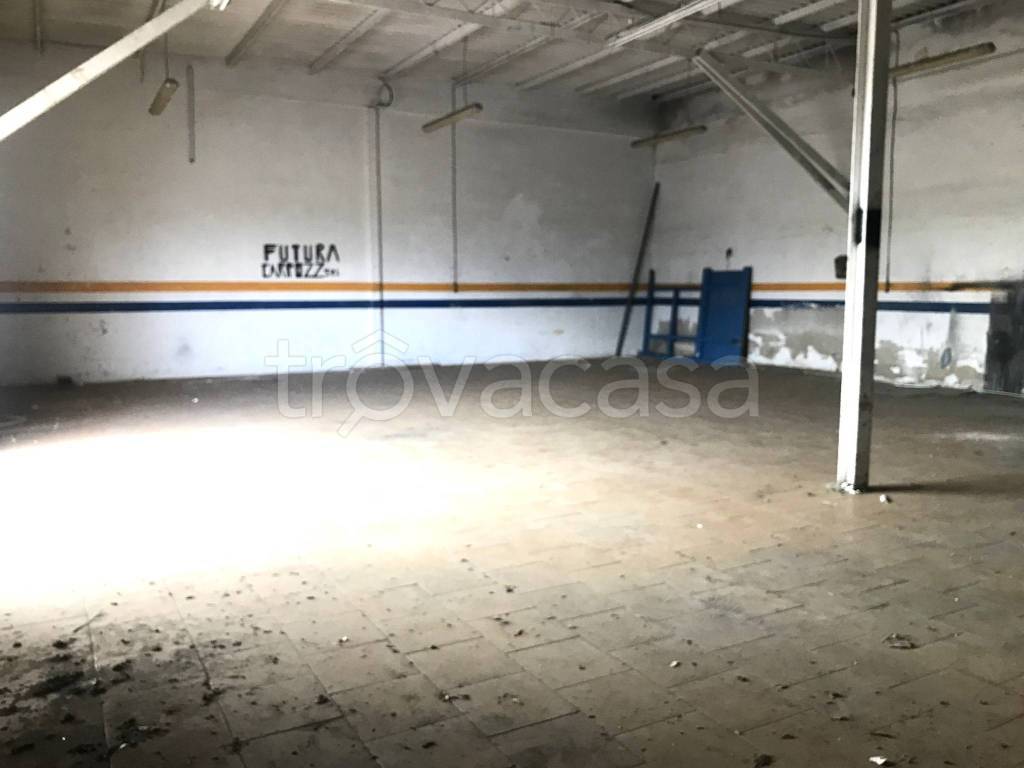 immagine annuncio 8 di 12