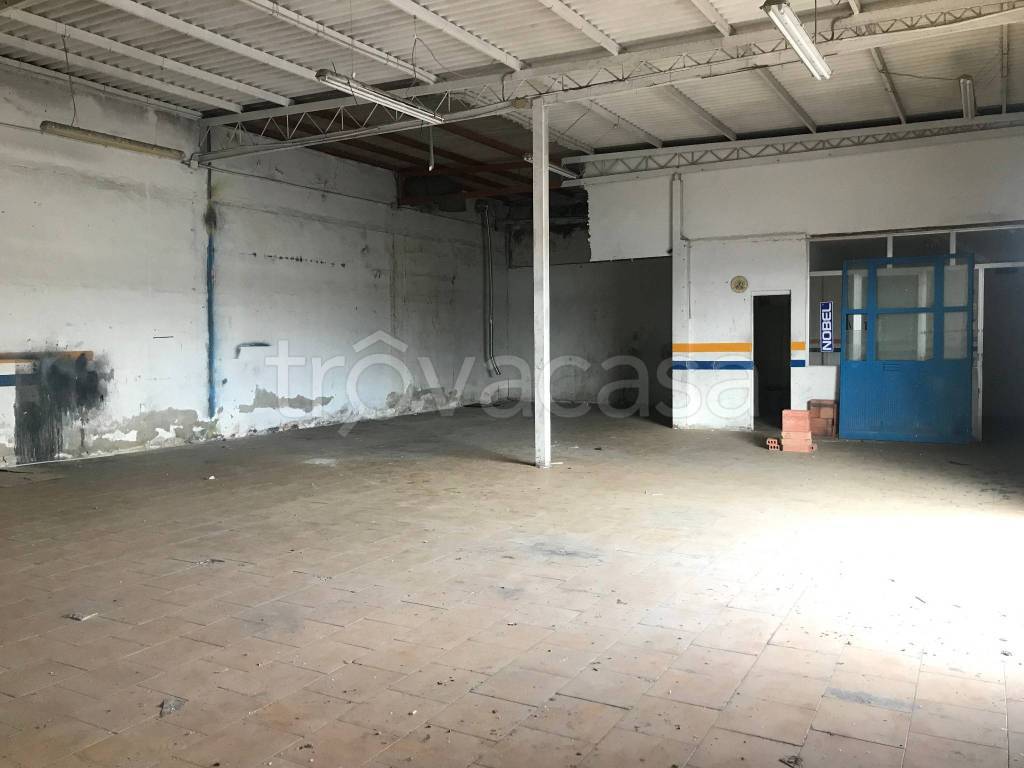 immagine annuncio 10 di 12