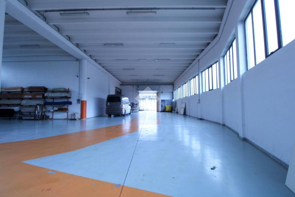 immagine annuncio 5 di 15