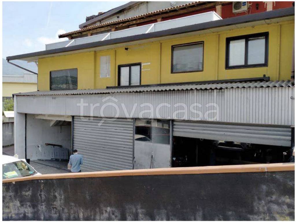 immagine annuncio 2 di 12