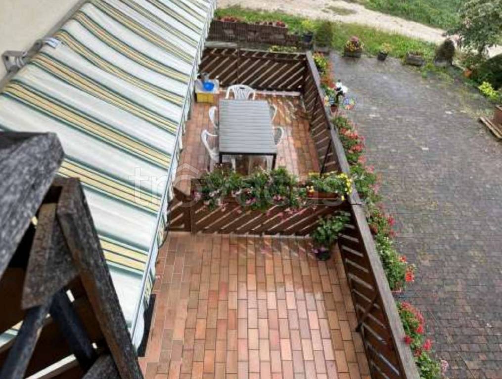 immagine annuncio 12 di 14