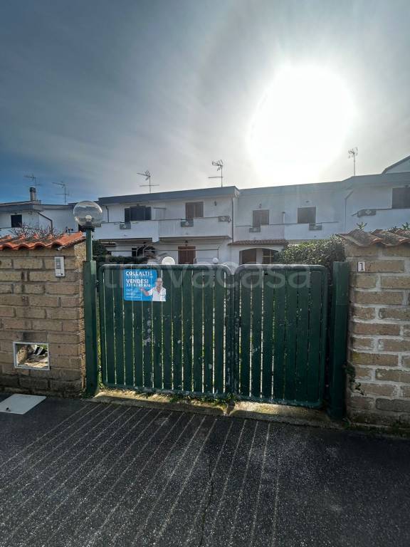 immagine annuncio 14 di 15