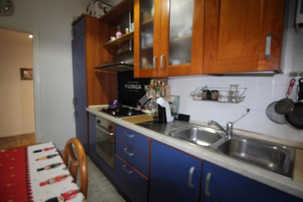 immagine annuncio 7 di 14