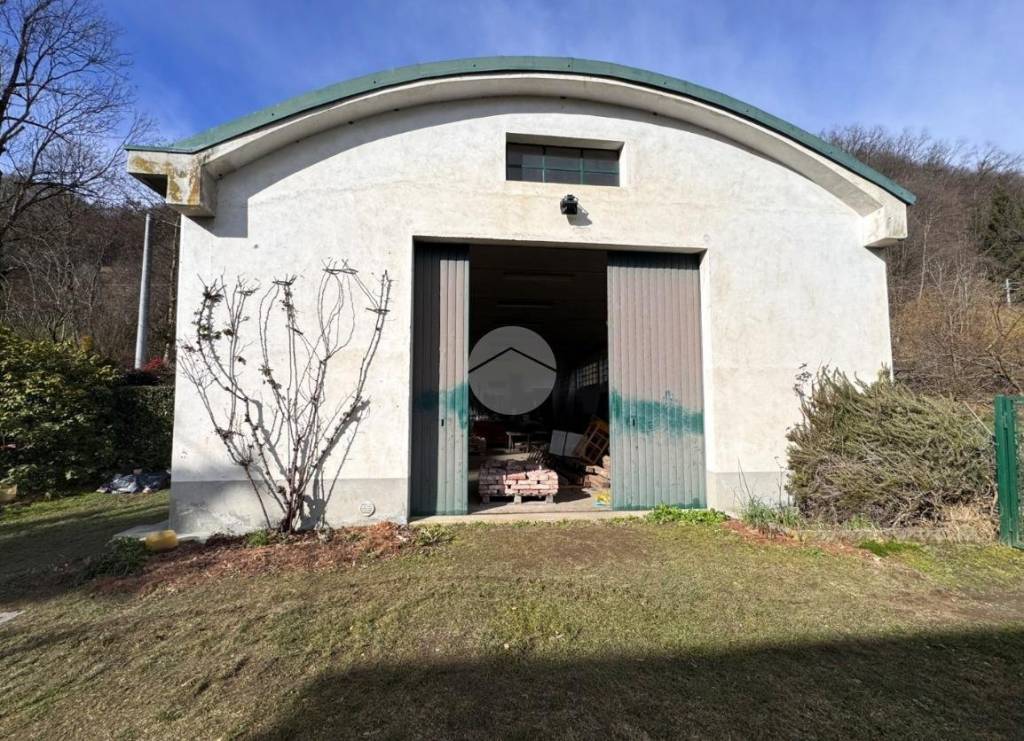 immagine annuncio 3 di 12