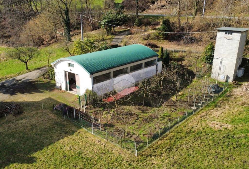 immagine annuncio 7 di 12