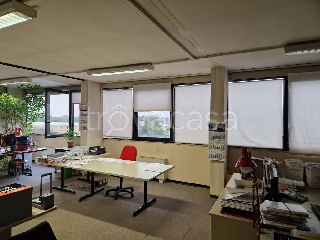 immagine annuncio 4 di 12