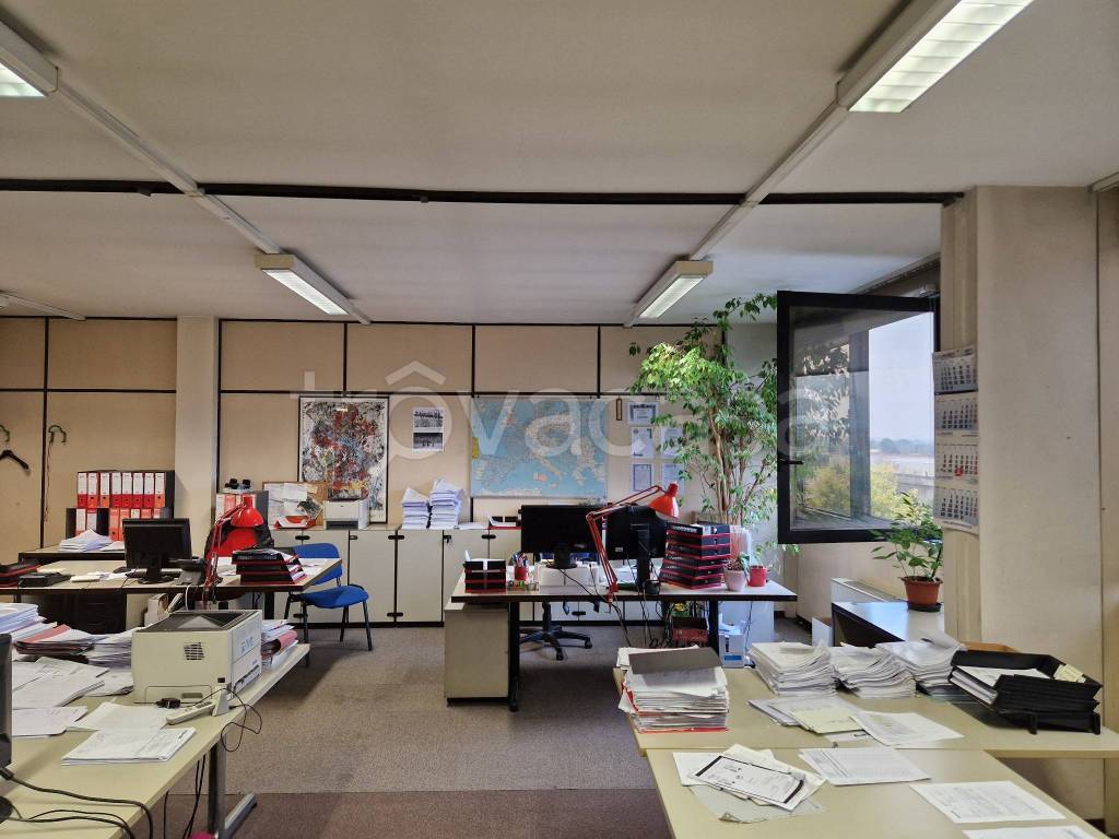 immagine annuncio 6 di 12