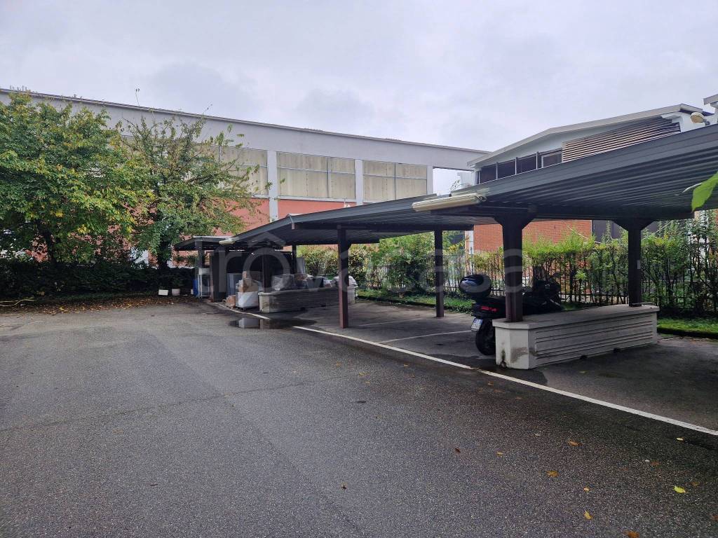 immagine annuncio 7 di 12