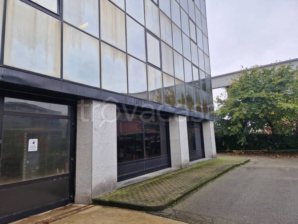 immagine annuncio 2 di 12