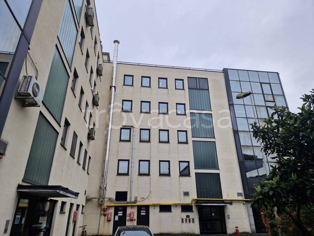 immagine annuncio 1 di 12