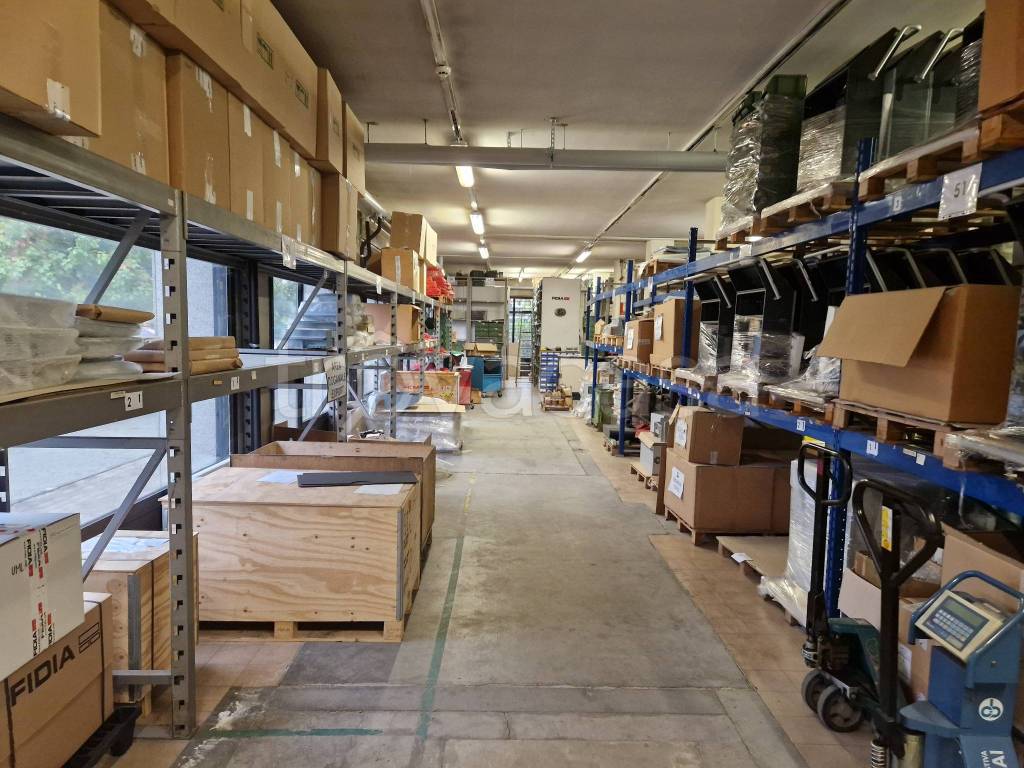 immagine annuncio 10 di 12