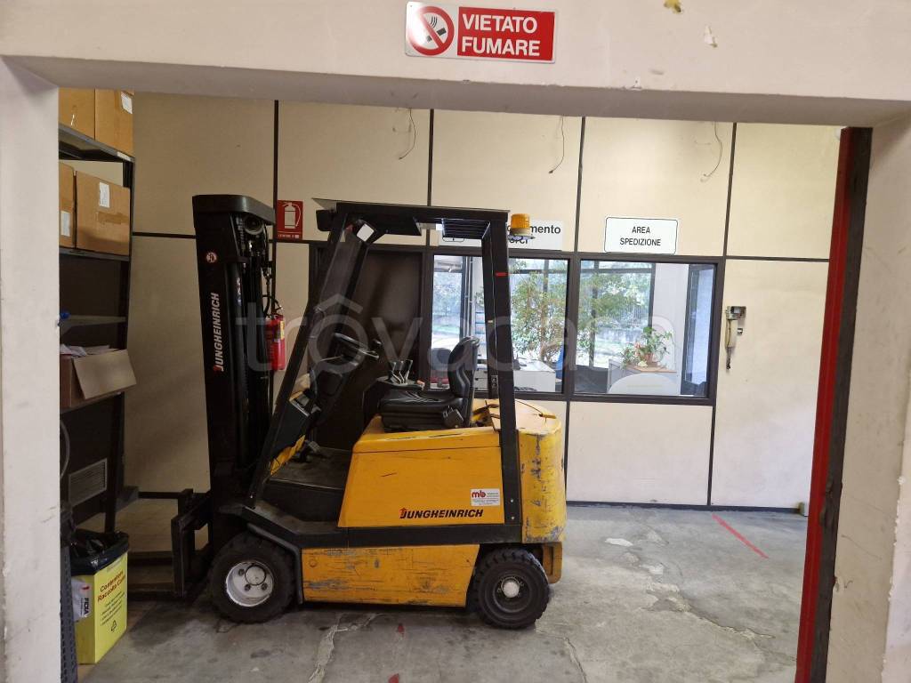 immagine annuncio 11 di 12