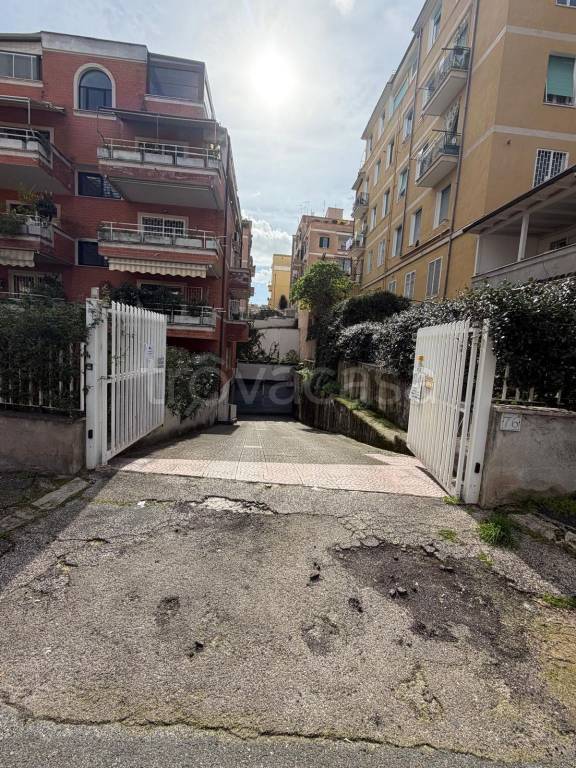 immagine annuncio 4 di 9