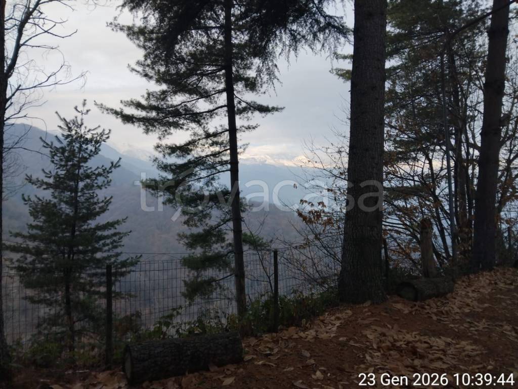 immagine annuncio 4 di 14