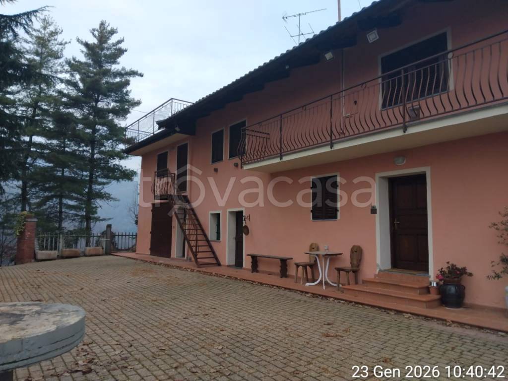 immagine annuncio 2 di 14