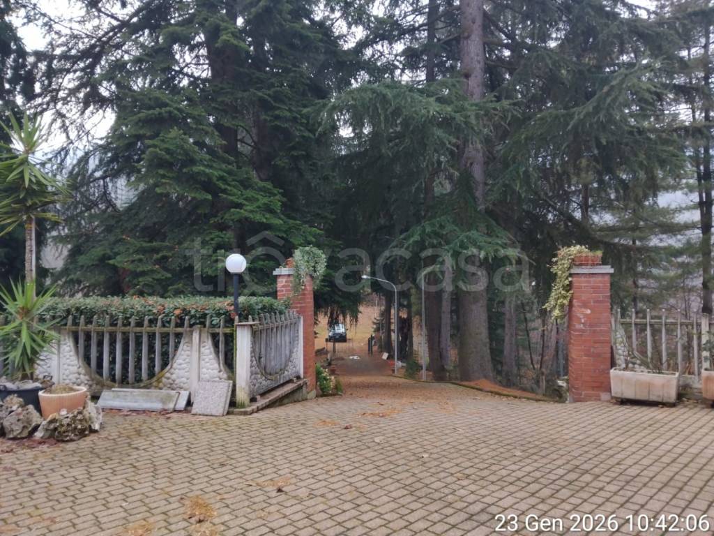 immagine annuncio 7 di 14