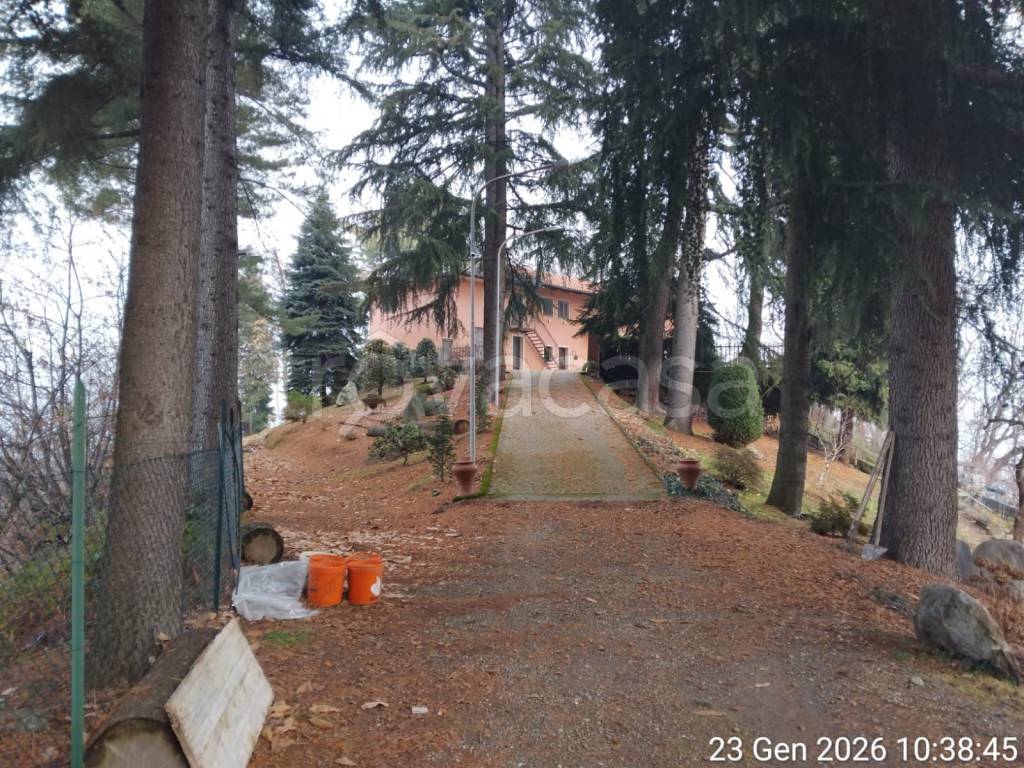 immagine annuncio 8 di 14