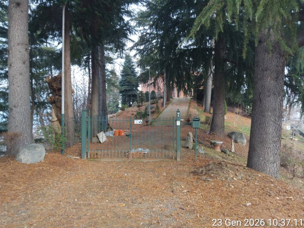 immagine annuncio 9 di 14