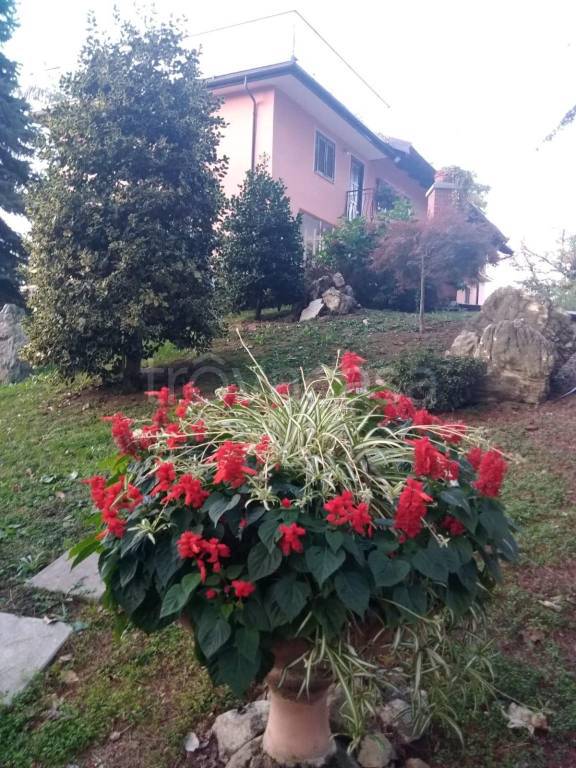 immagine annuncio 10 di 14