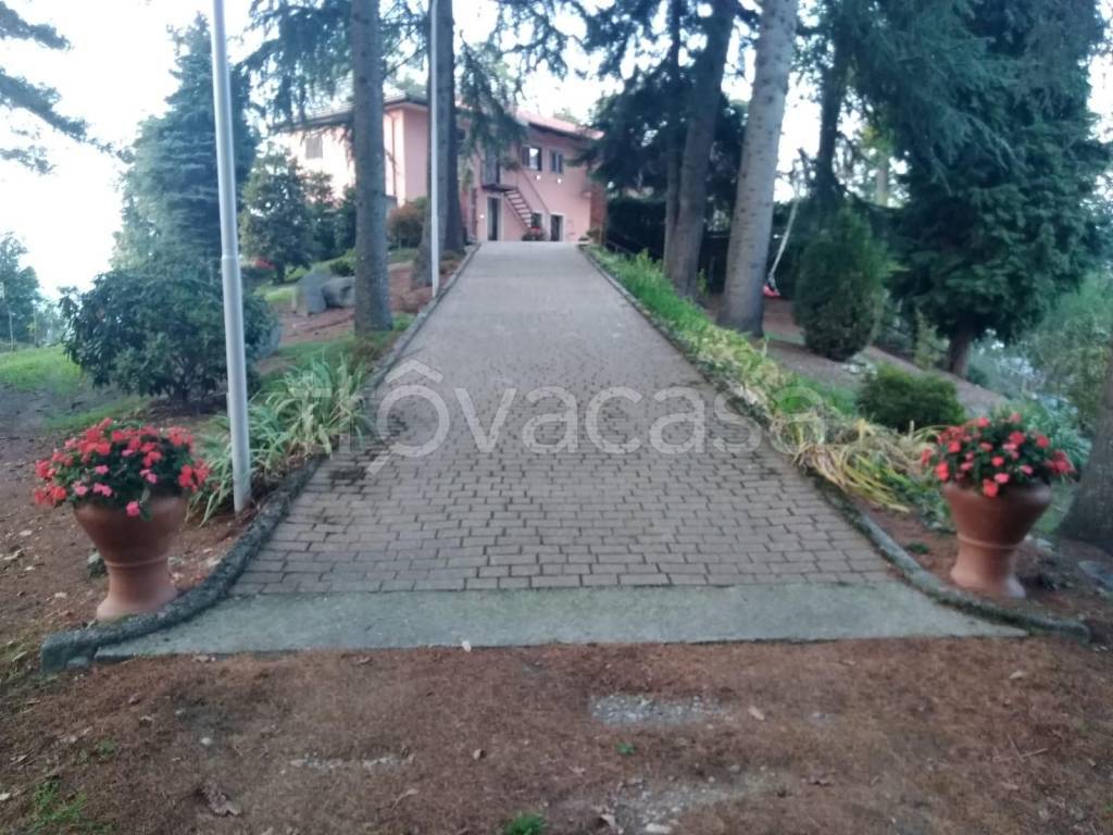 immagine annuncio 11 di 14